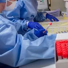 Covid Puglia, oggi 365 contagi e 18 morti: bollettino 21 maggio