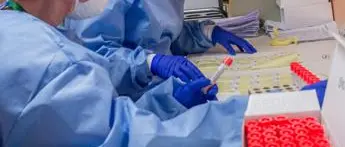 Covid Puglia, oggi 365 contagi e 18 morti: bollettino 21 maggio