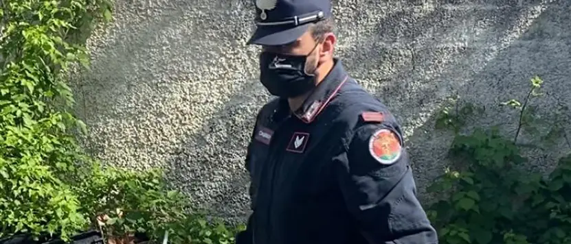 Abbandono rifiuti: scattano le sanzioni per i trasgressori