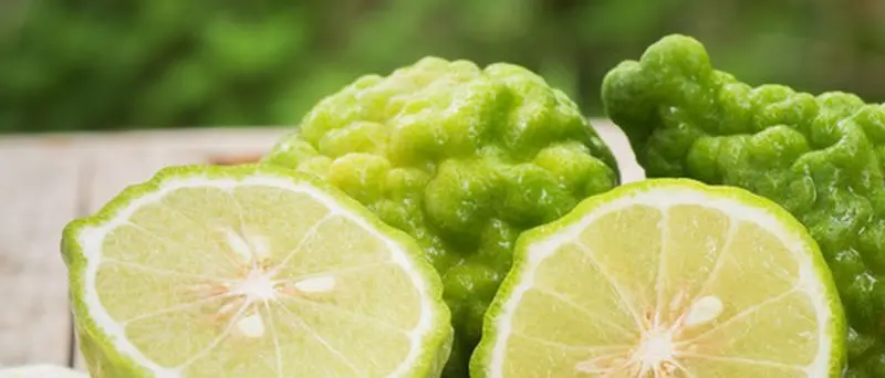 Tutela del Bergamotto, Ferrara (M5S): \"Bene strada intrapresa\"