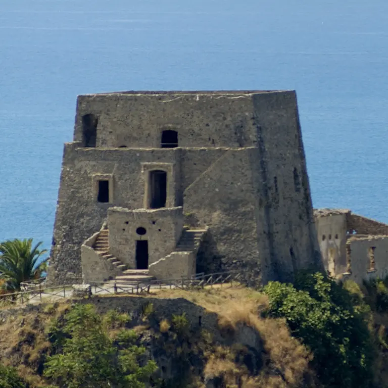 Torre Talao si illumina di verde per la giornata della speranza