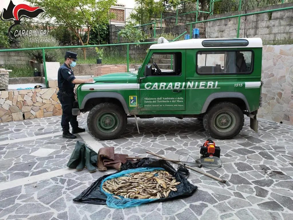 Pesca di frodo con generatore di corrente: uccise diverse trote
