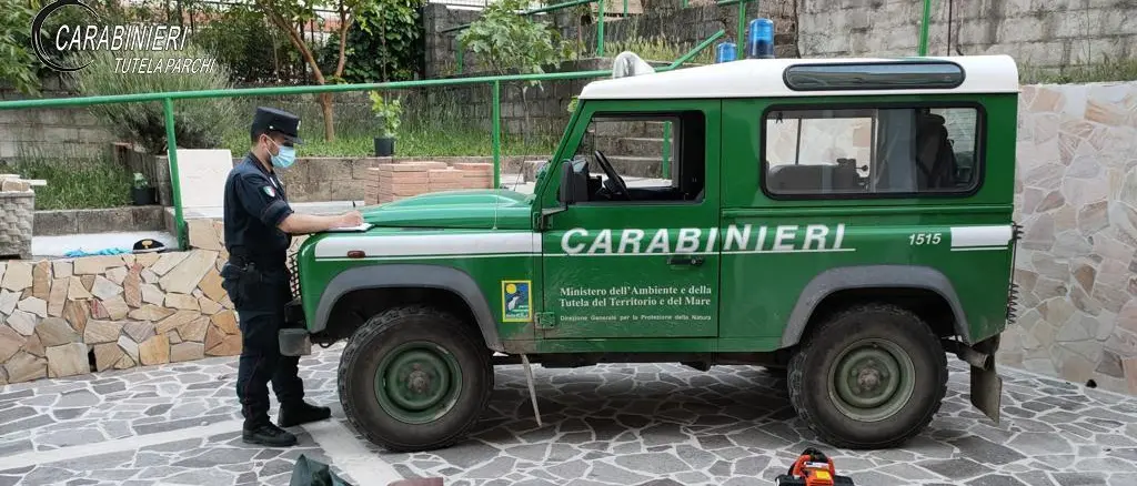 Pesca di frodo con generatore di corrente: uccise diverse trote