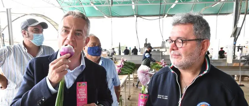 \"Cipolla tour\", Spirlì: «Prodotto simbolo della calabria»