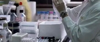 Covid oggi Veneto, 106 contagi e 9 morti: bollettino 1 giugno