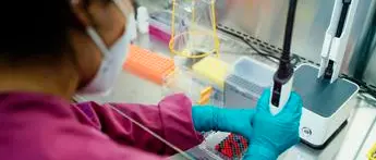 Covid, origine naturale o di laboratorio? Silvestri: \"Entrambe plausibili\"