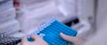 Covid, scoperti nuovi anticorpi in grado di inibire l'infezione