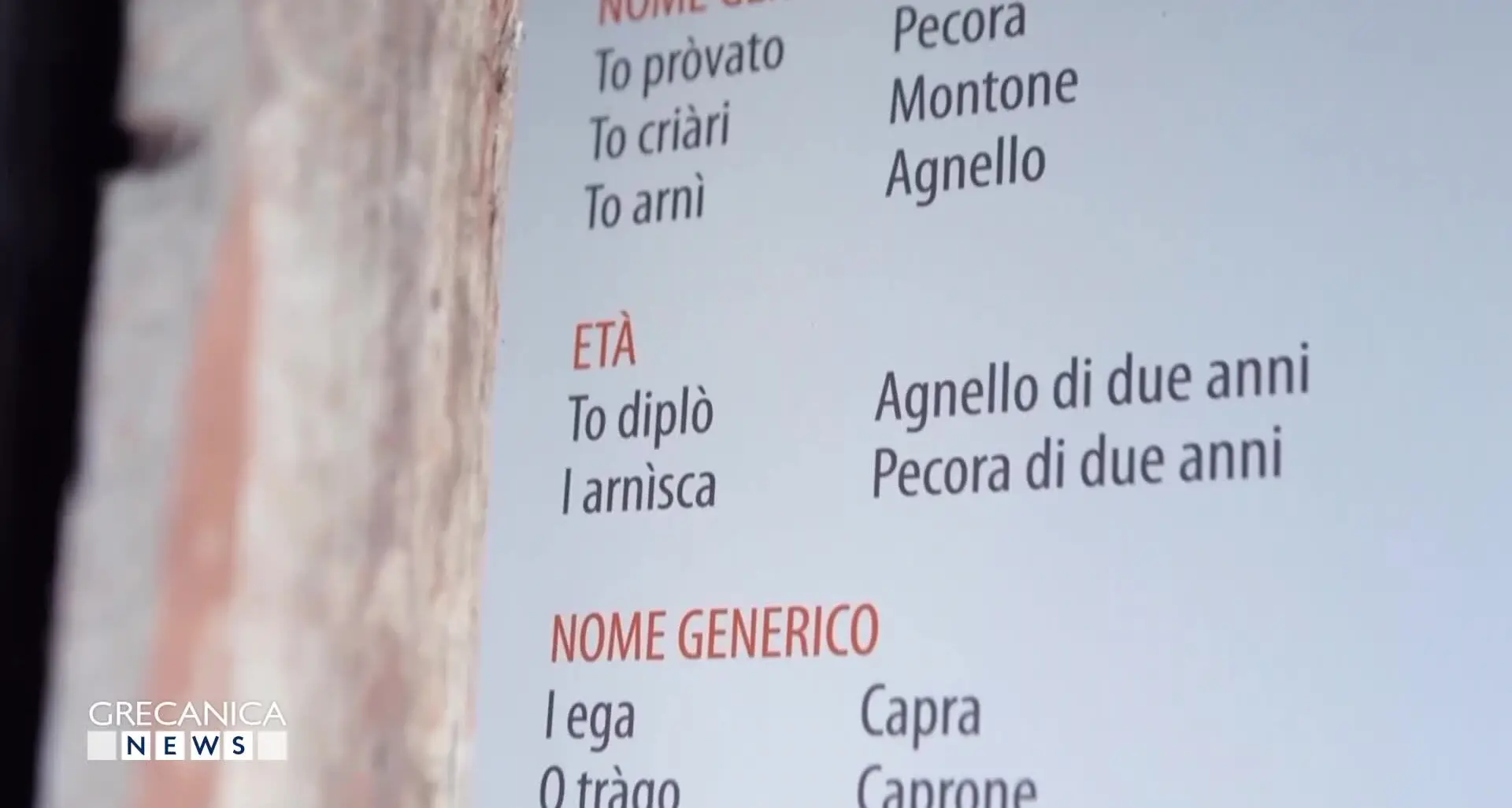 La lingua grecanica vola in Europa