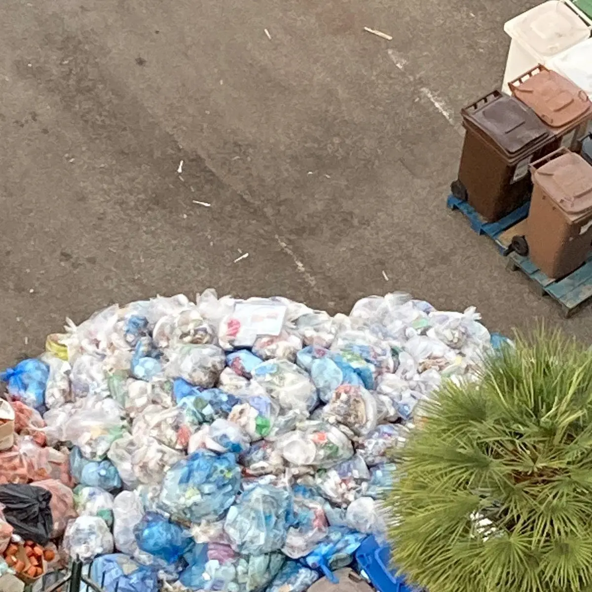 Cosenza, la lettera: «Basta rifiuti del carcere sotto casa nostra»