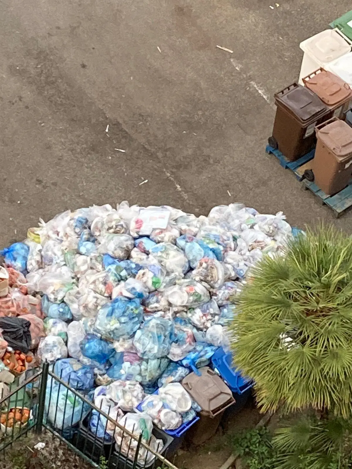 Cosenza, la lettera: «Basta rifiuti del carcere sotto casa nostra»