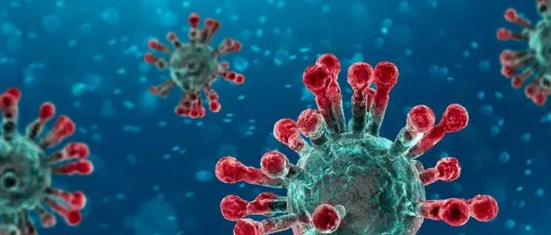 Calabria, calano i contagi da Coronavirus: oggi sono 67