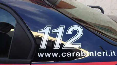 Carabinieri , ANSA