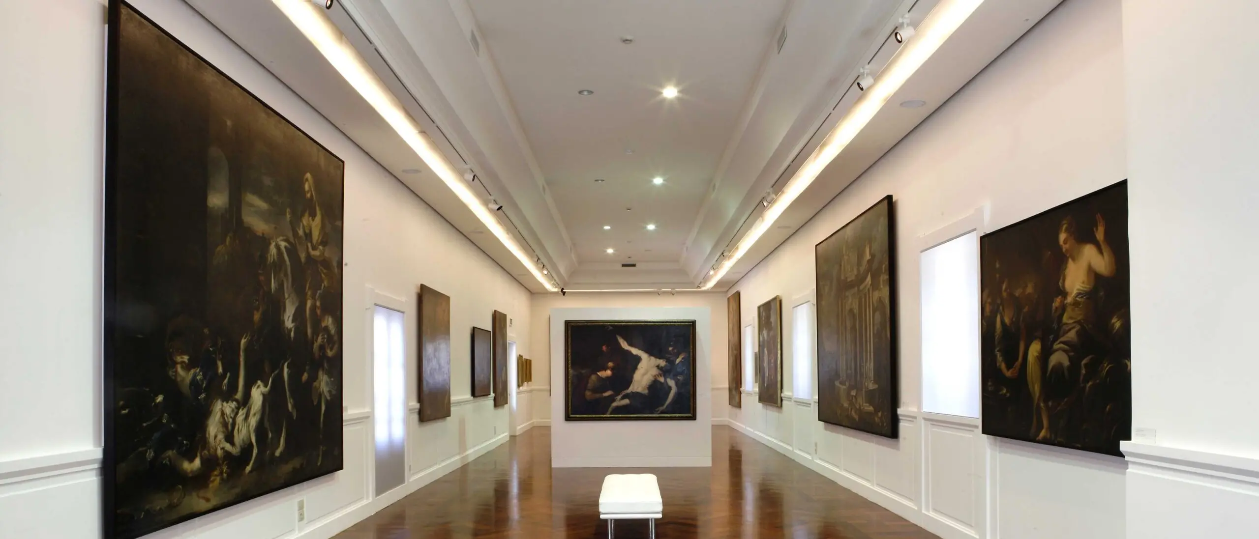 Formazione e digitalizzazione culturale: nasce l’Hub Calabria Campania di Dicolab