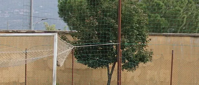 Cosenza, anche il Sanvitino messo male. Lo staff tecnico si innervosisce