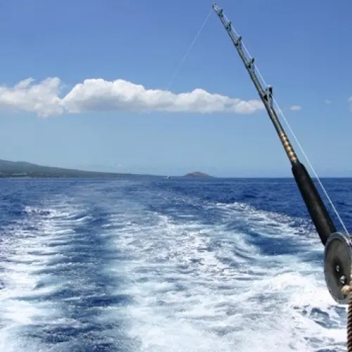Pesca, oltre 2,5 milioni per proteggere biodiversità ed ecosistemi