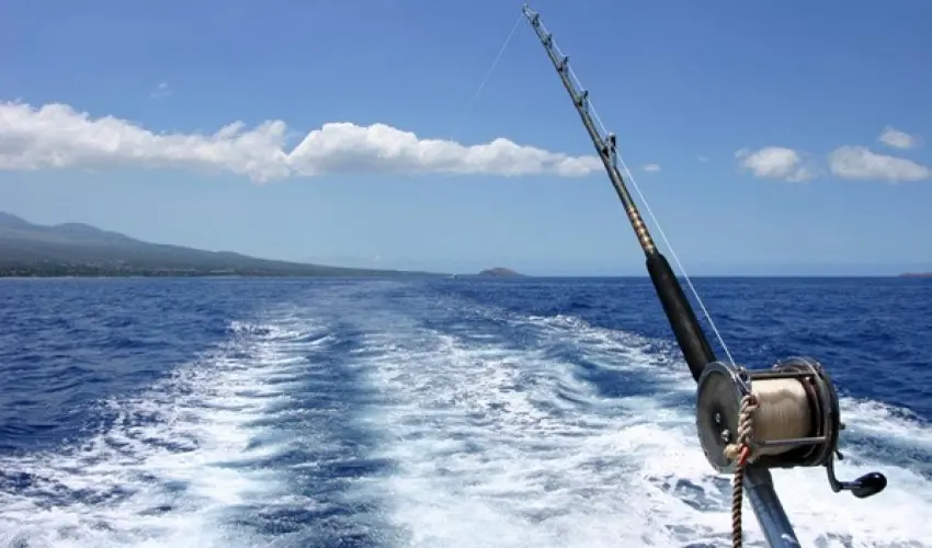Pesca, oltre 2,5 milioni per proteggere biodiversità ed ecosistemi
