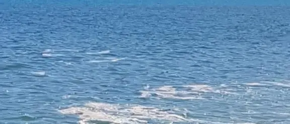 Lega: «Il dossier Mare Nostrum 2021 di Legambiente deve far riflettere»