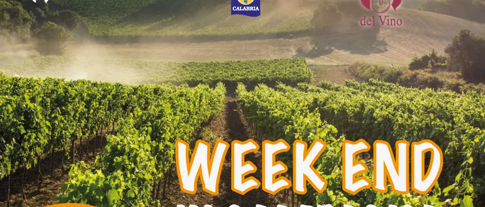 Weekend in campagna, la Calabria dell’olio e del vino riparte dal territorio