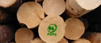 «Foreste centrali per la transizione ecologica della Calabria»: ecco il piano Uncem per valorizzare i boschi calabresi\n