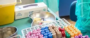 Covid oggi Sardegna, 51 contagi e zero morti: bollettino 9 luglio