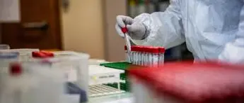 Covid Fvg oggi, 42 contagi e zero decessi: bollettino 14 luglio