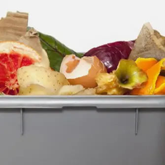 Cosenza, sospesa la raccolta dell'organico prevista per venerdì 16 luglio