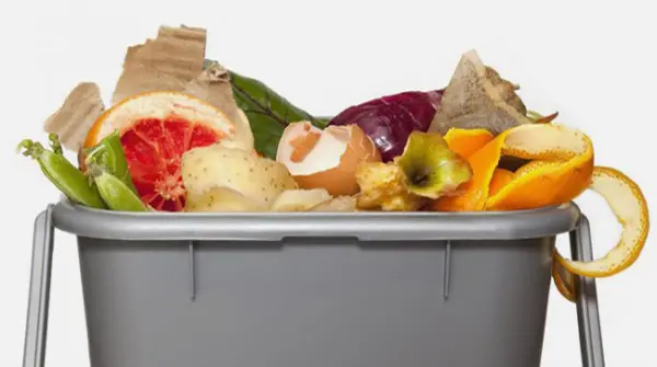 Cosenza, sospesa la raccolta dell'organico prevista per venerdì 16 luglio