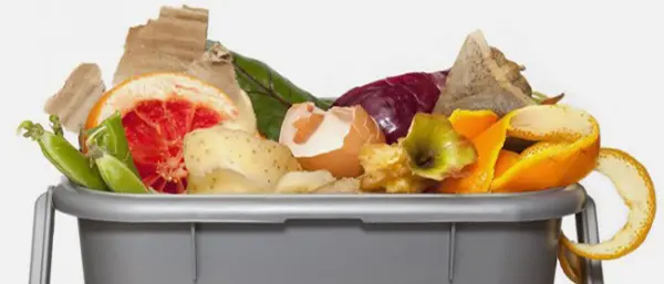 Cosenza, sospesa la raccolta dell'organico prevista per venerdì 16 luglio