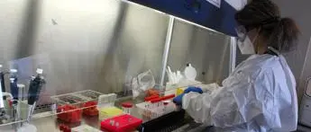 Covid oggi Abruzzo, 25 contagi: bollettino 18 luglio