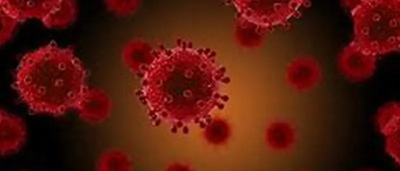 Bollettino Calabria, oggi 88 contagi da coronavirus e 9 decessi non recenti