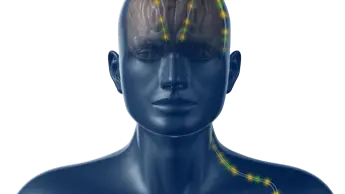 ProEXR File Description =Attributes= channels (chlist) compression (compression): Zip16 dataWindow (box2i): [0, 0, 7999, 4499] displayWindow (box2i): [0, 0, 7999, 4499] lineOrder (lineOrder): Increasing Y pixelAspectRatio (float): 1 screenWindowCenter (v2f): [0, 0] screenWindowWidth (float): 1 type (string): \"scanlineimage\" =Channels= A (half) B (half) G (half) Object Buffer 2.alpha (half) Object Buffer 8.alpha (half) R (half)
