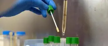 Covid, Gimbe: \"+64,8% contagi in una settimana, siamo nella quarta ondata\"