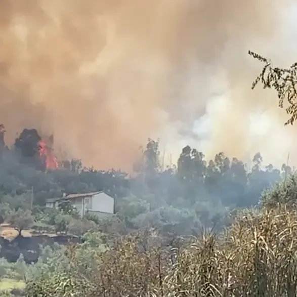 Grosso incendio a Rende: le fiamme minacciano le abitazioni