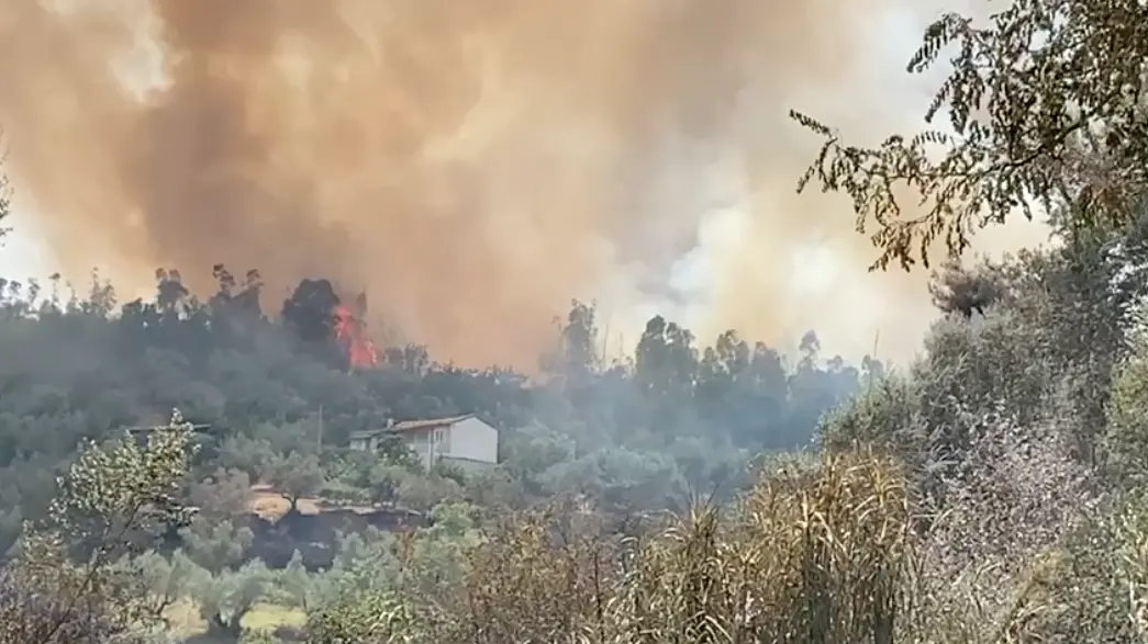 Grosso incendio a Rende: le fiamme minacciano le abitazioni