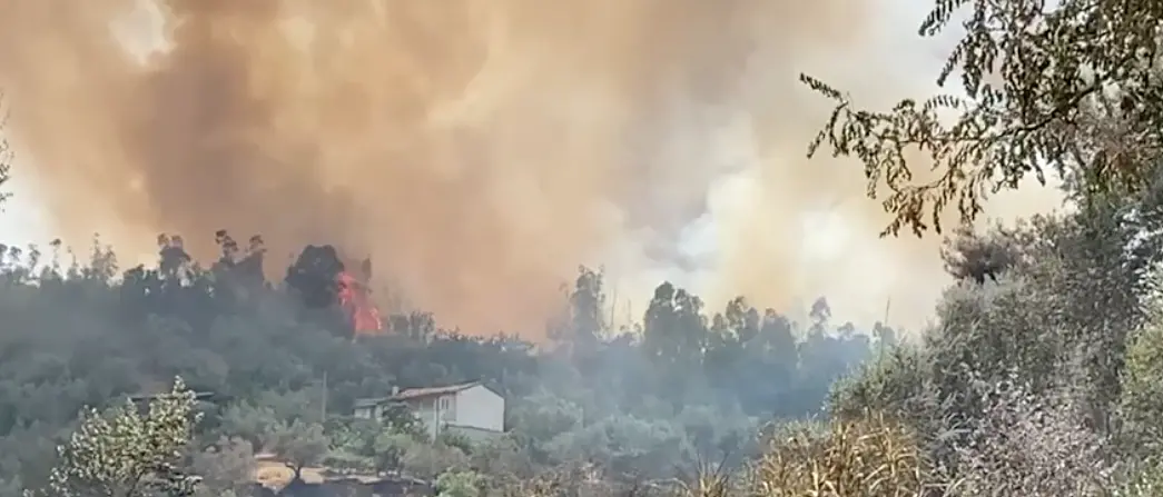 Grosso incendio a Rende: le fiamme minacciano le abitazioni