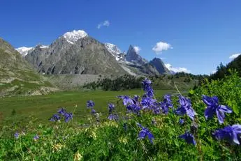 Biodiversità italiana a rischio
