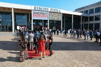 Ismea, in arrivo nuovo strumento per sostenere progetti filiera agroalimentare