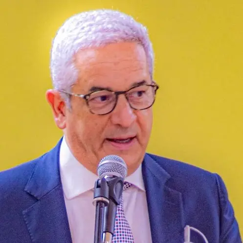 Vertenza Almaviva, lavoratori in sciopero. Parla il sindaco Manna