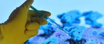 Vaccino covid Usa, a Los Angeles obbligatorio per studenti over 12