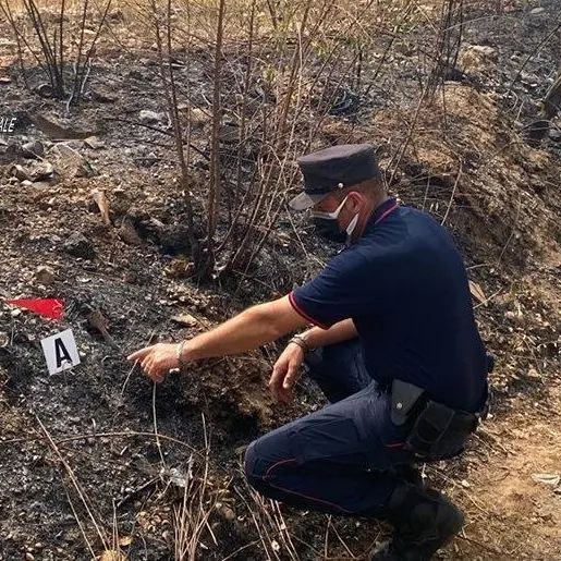 Castrovillari, 17enne dà fuoco alla vegetazione: denunciato