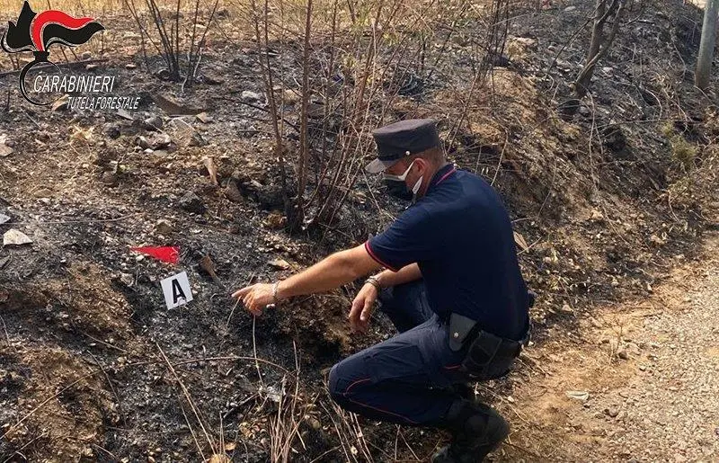 Castrovillari, 17enne dà fuoco alla vegetazione: denunciato