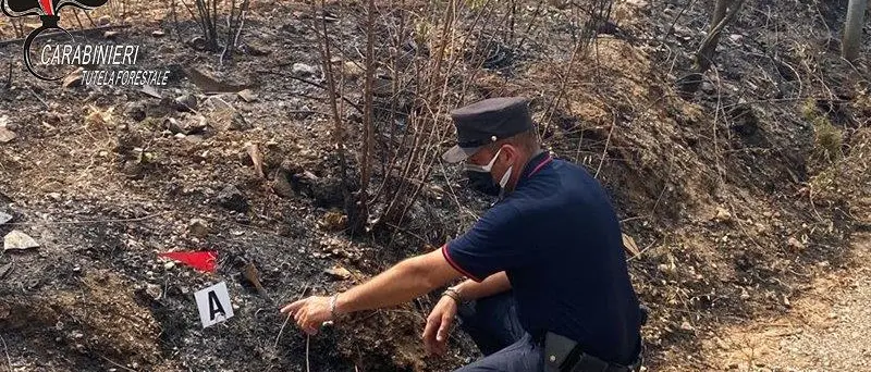 Castrovillari, 17enne dà fuoco alla vegetazione: denunciato