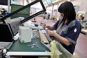 Startup, Pozza (Unioncamere Veneto): \"Scelte governo mettono in difficoltà giovani\"
