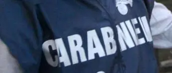 Roma, escrementi di topo in scuola materna: sospesa attività