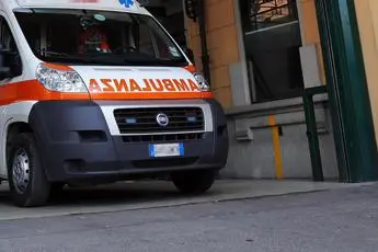 Trapani, bimbo di 10 anni aggredito da rottweiler ad Alcamo