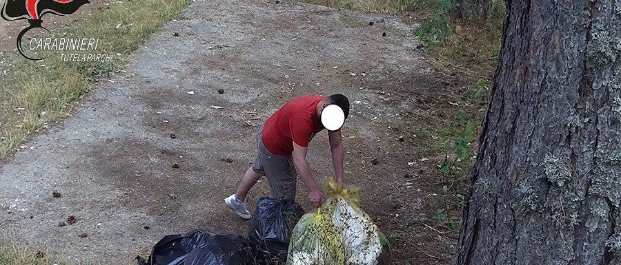 Abbandono rifiuti: scattano le sanzioni per i trasgressori