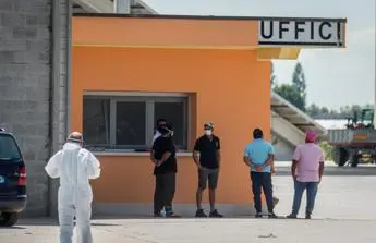 Green pass obbligatorio, verso tamponi a carico lavoratori