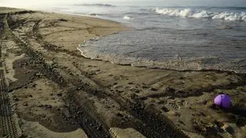 Marea nera in California, rischio disastro ecologico