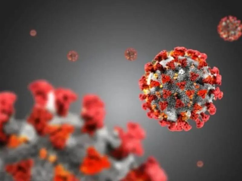 Coronavirus Calabria, 198 contagi e 2 decessi. Positività al 4 per cento