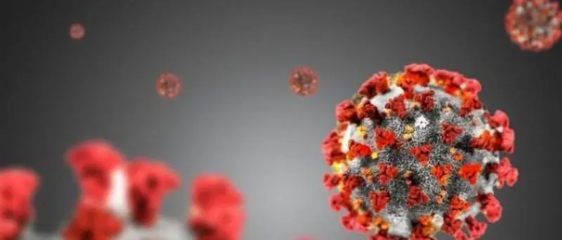 Coronavirus Calabria, 198 contagi e 2 decessi. Positività al 4 per cento